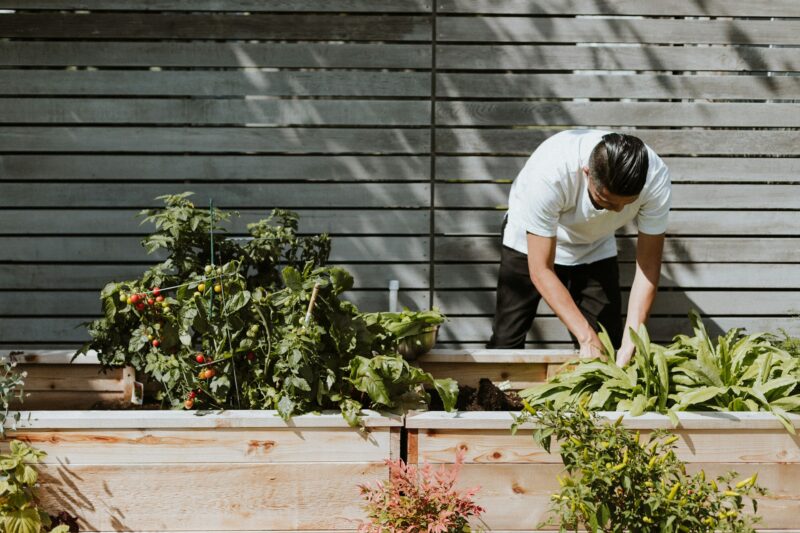 Your Step-by-Step Guide for a Greener Home with Sustainable Gardening